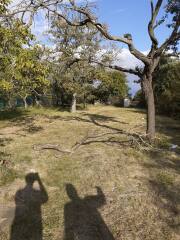 Prodej zahrady 2000 m², Brno - Brněnské Ivanovice